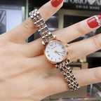 LIKEU Luxury Shell (AMNX1)
